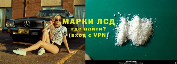 трава Белокуриха