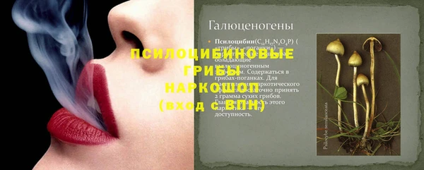 трава Белокуриха